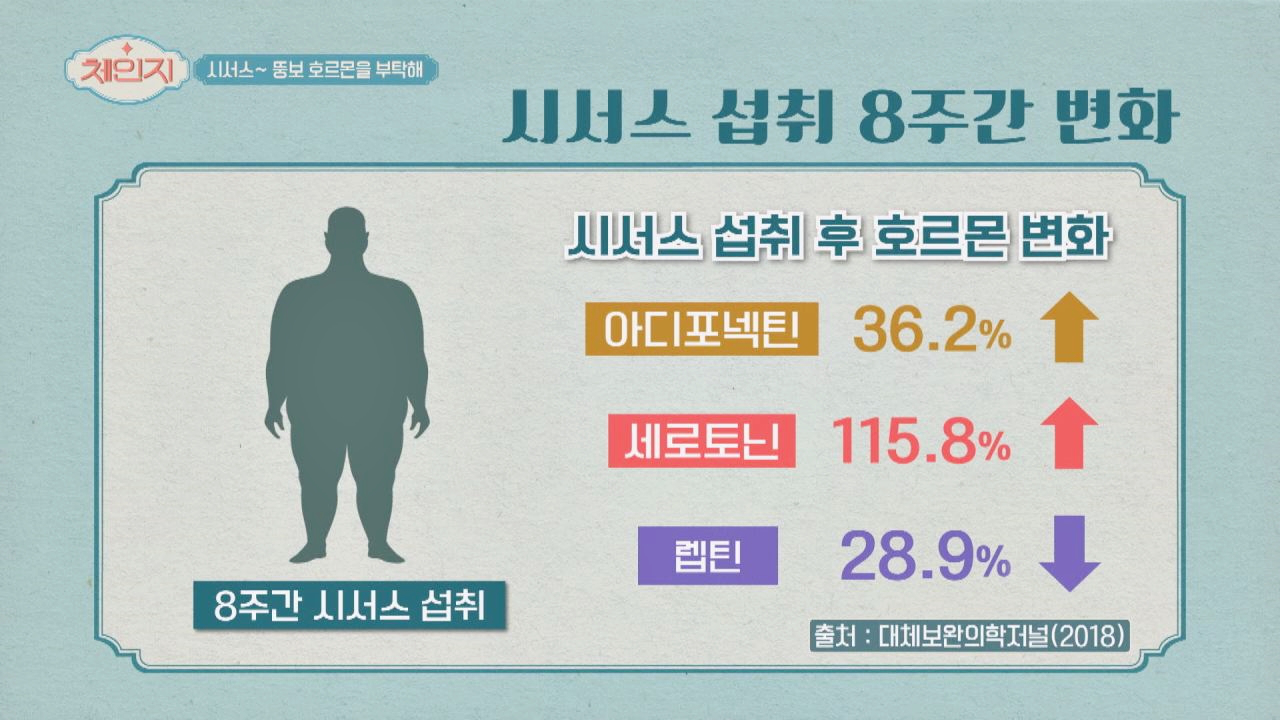 놀라운 시서스의 호르몬 조절 능력☞ 체중 감량↗
