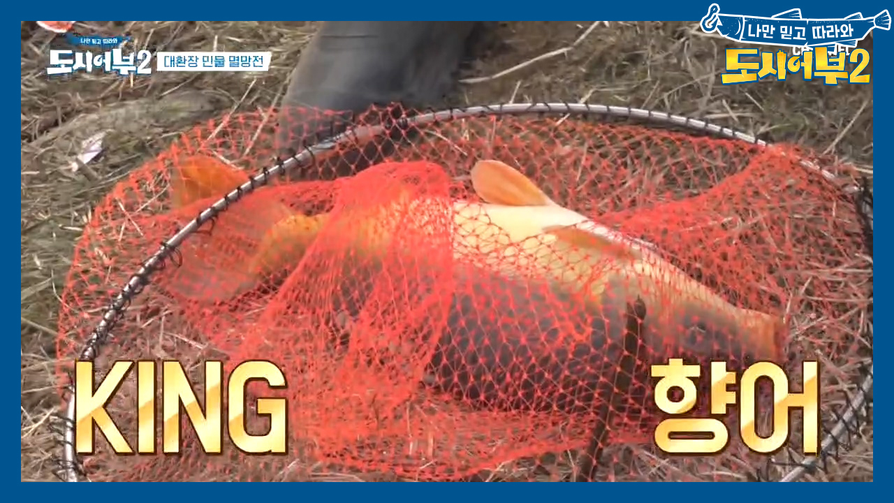 ((감격의 눈물ㅠㅠ)) 킹태곤, 무려 12시간 만에 첫 히트! 씨알 좋은 향어 GET♥