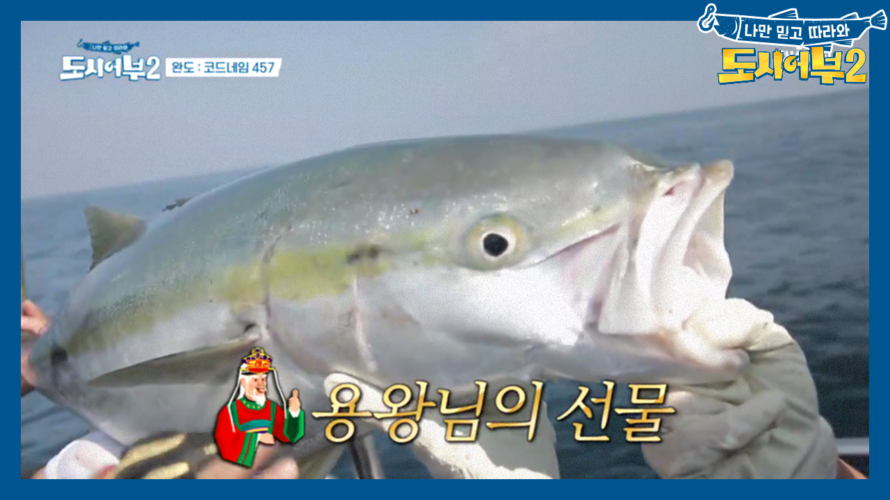 (앵콜세레모니) 킹태곤, 도시어부 최초 미터급 방어 잡다!