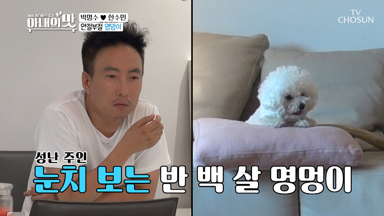 밀당 퀸 한수민! 눈치 보는 반 백 살 '명'멍이~ 귀엽다...