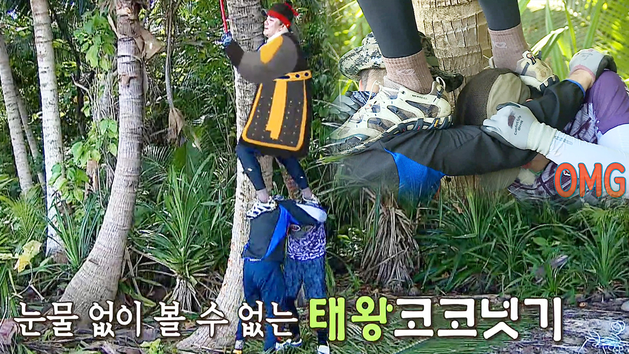 코코넛을 얻고 싶은 자, 태곤의 무게를 견뎌라!