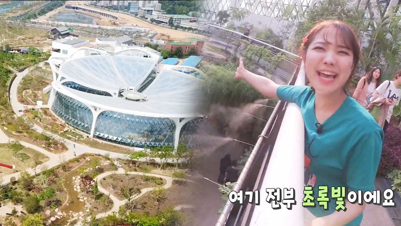 빡빡한 도심 속 자연 느낄 수 있는 ‘서울 식물원’ - kakaoTV 빡빡한 도심 속 자연 느낄 수 있는 ‘서울 식물원’