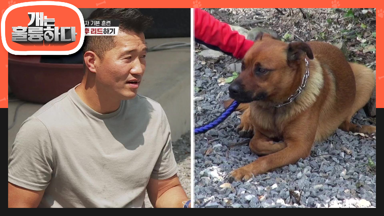 ※될 때까지 한다※ 처음으로 해야할 것은 통제하기♨ 훈련을 하며 사라진 두려움 | KBS 210802 방송