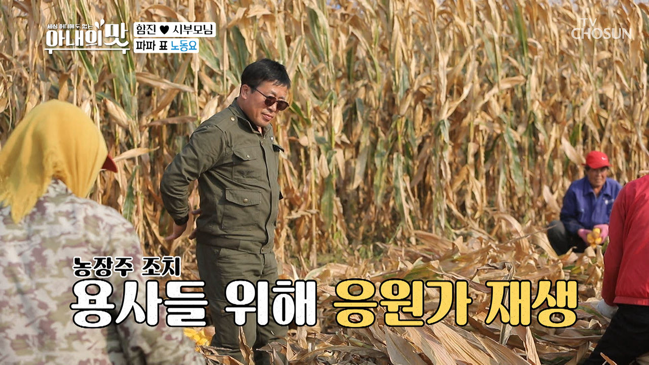 10만평 옥수수 수확 大작전 ♬ 대륙의 농사 스케일