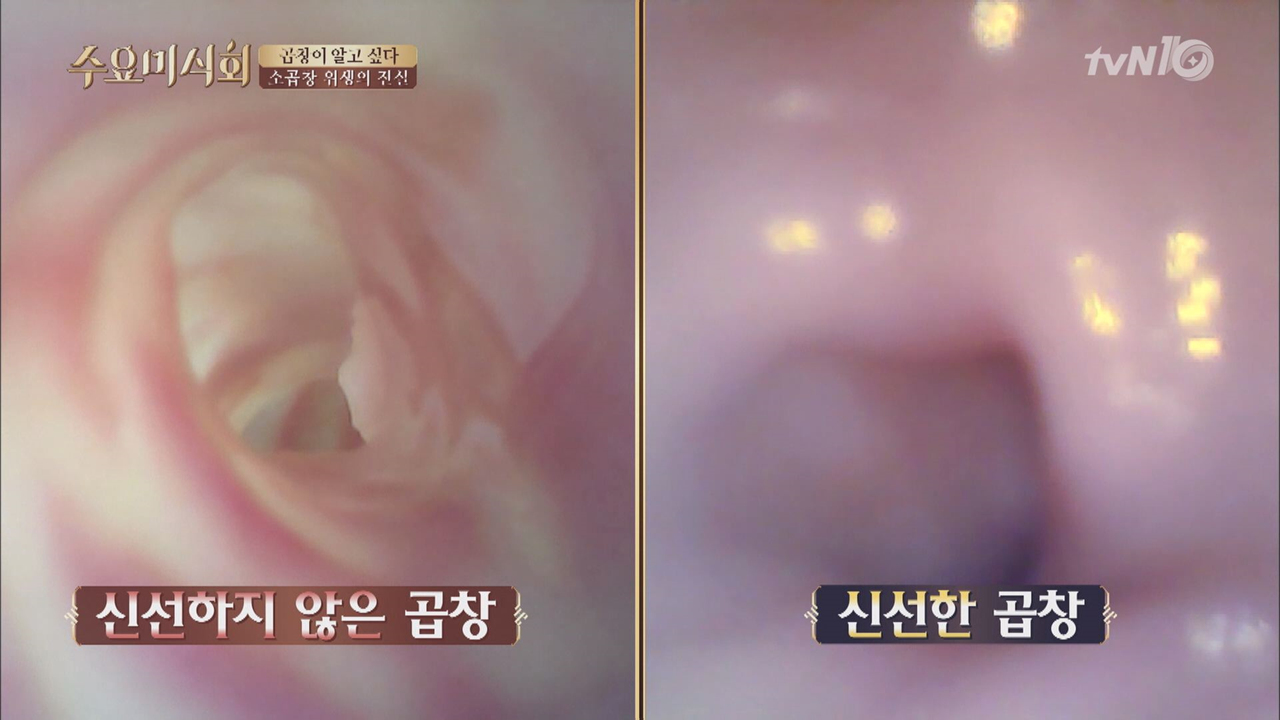 곱창, 세척 괴담 생긴 이유는? - kakaoTV 곱창, 세척 괴담 생긴 이유는?