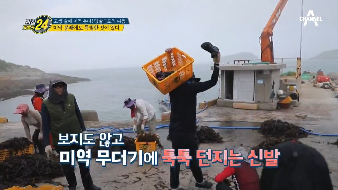 아무렇게나 던져지는 주민들의 신발, 죽도의 미역 분배는 특별한 것이 있다?