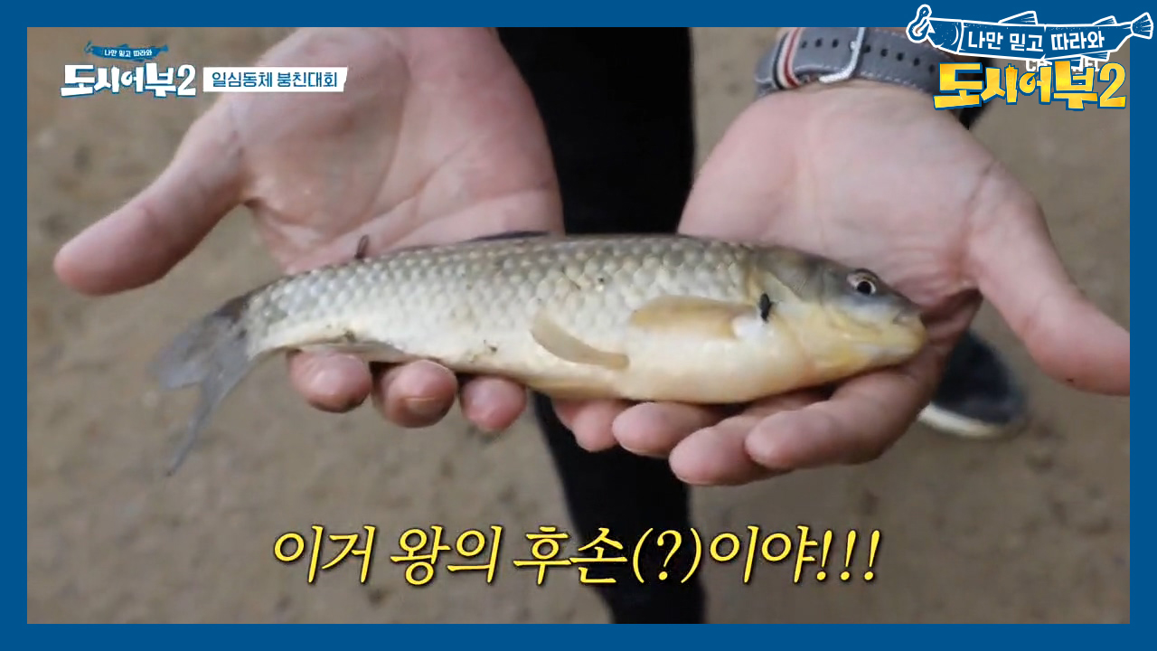 ＂으어어ㅓㅓ＂ 力보미 덕분에 깜짝놀란 붕어 ㅇ.ㅇ