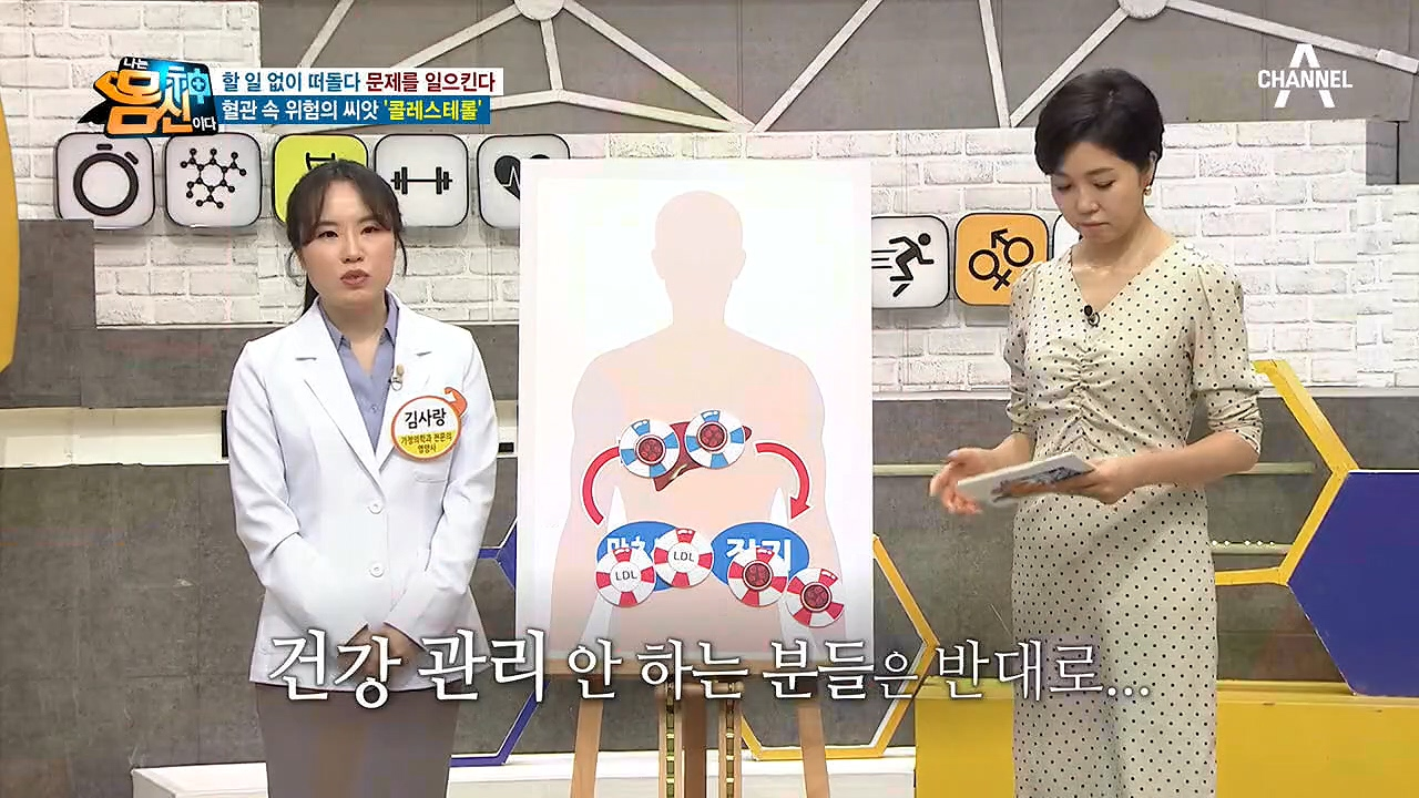 할 일 없이 떠돌다 문제를 일으킨다, 착한&amp;나쁜 콜레스테롤의 등장