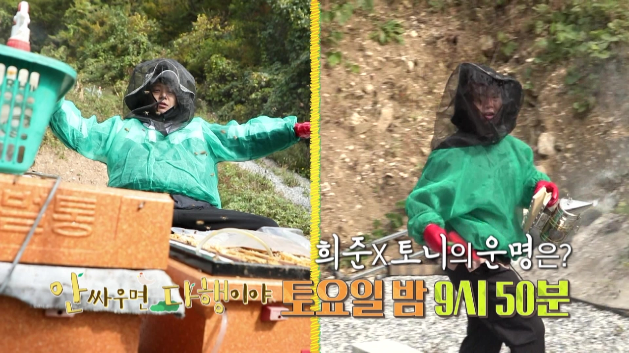 [선공개] 양봉장에서 생긴 일! 희준X토니의 운명은?