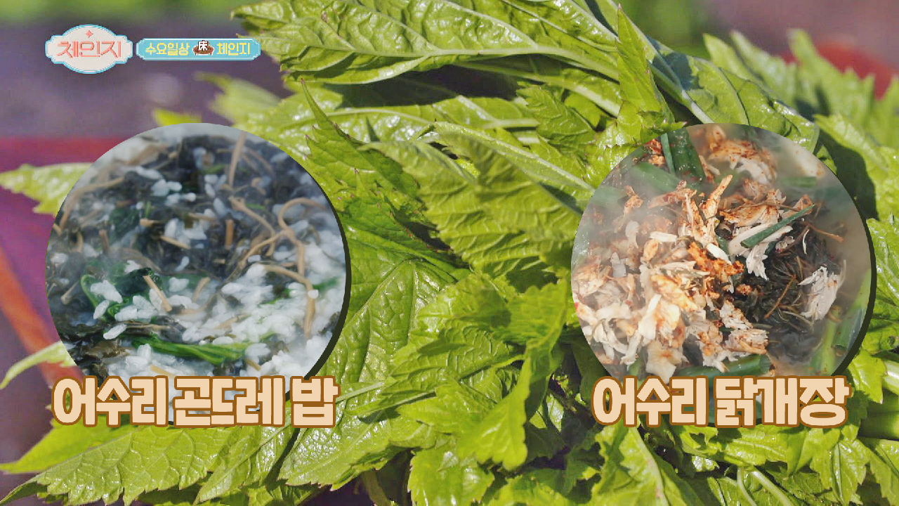 어수리 나물로 향과 맛 up↗ 자연 건강 밥상!