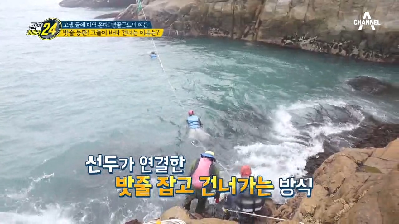 파도를 맞으며 바다를 건너는 사람들! 아슬아슬한 돌미역 채취 과정