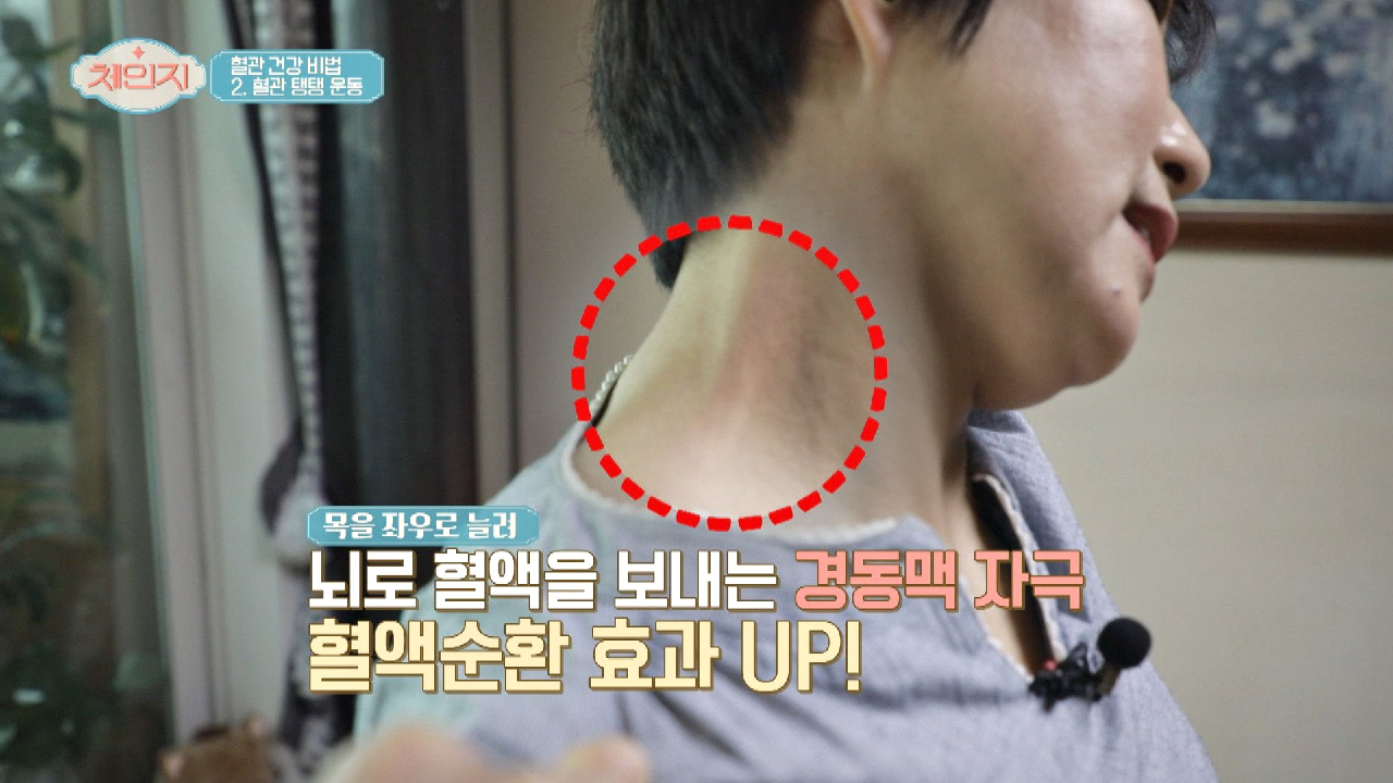 혈관 탄력 UP↗ 혈액 순환에 좋은 혈관 탱탱 운동법!