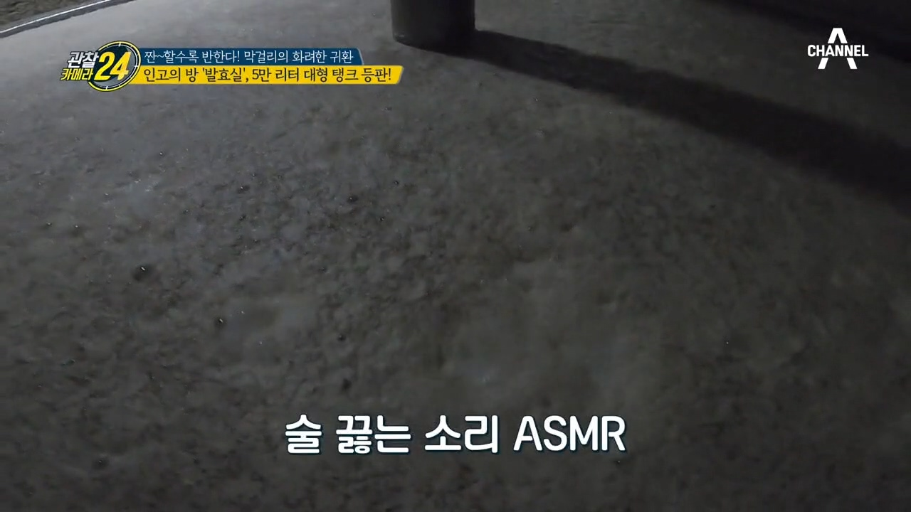 [술 소리 ASMR] 보글~보글~♩술 끓는 소리, 들어보셨나요?!