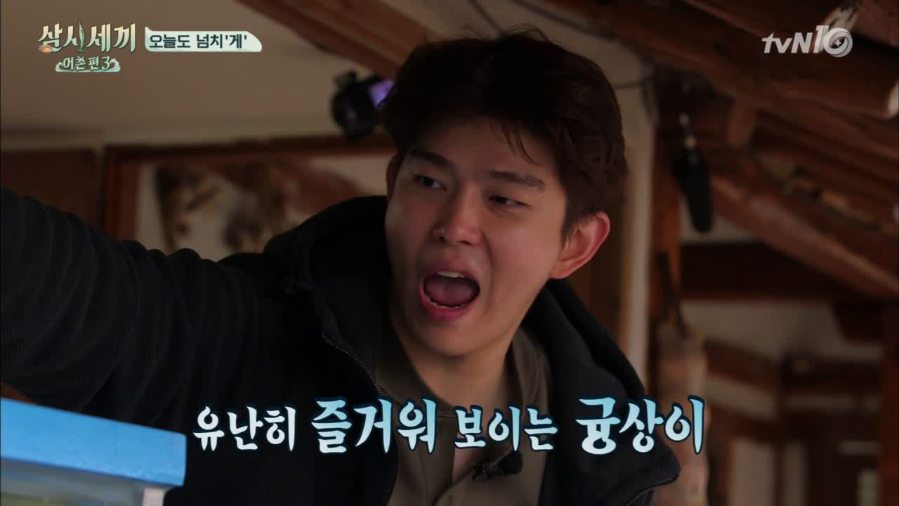 효도르, 타이슨 다모여! 게판된 세끼집!