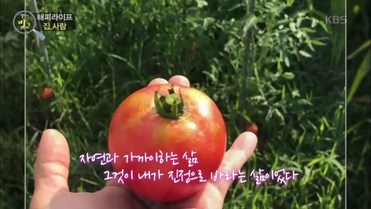 thumb.png?ts=1578421563