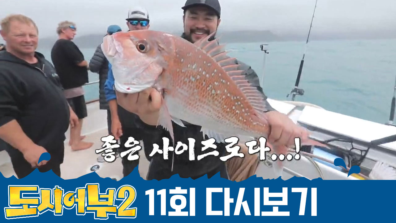 ↖뉴질랜드를 뒤집어놓으셨다↗ 다이나믹한 낚시 경쟁! 개코X최자의 참돔 HIT♥