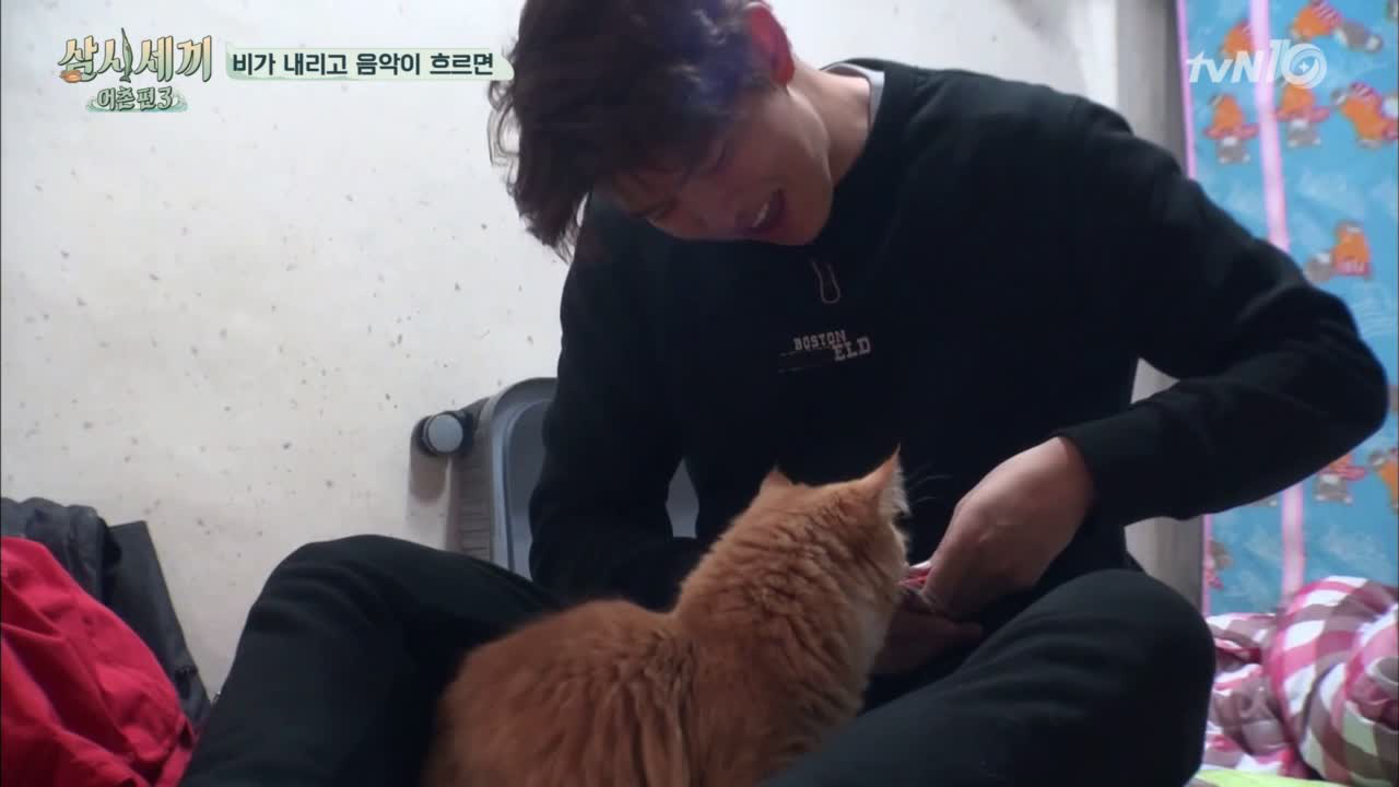 귱파파와 쿵몽이의 뽀뽀+간식!