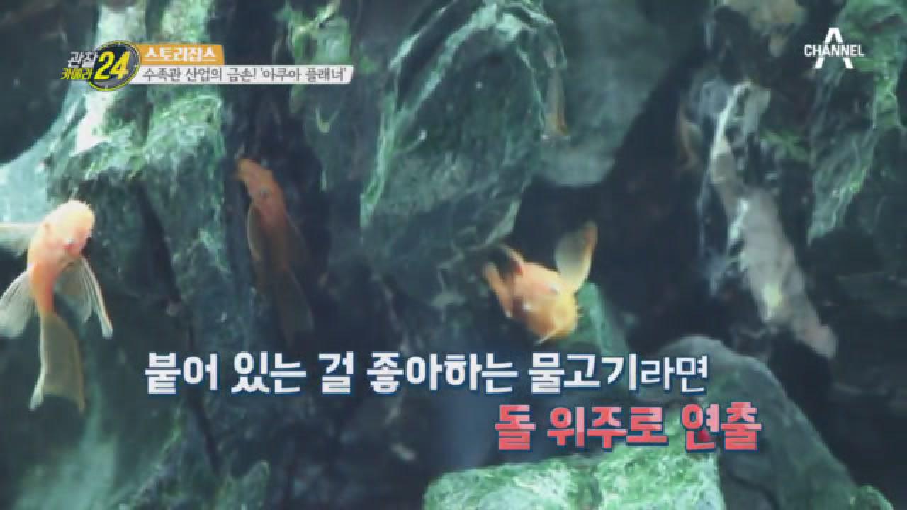 물속에 어떤 생물이 사냐에 따라 사용하는 나무가 다르다?!