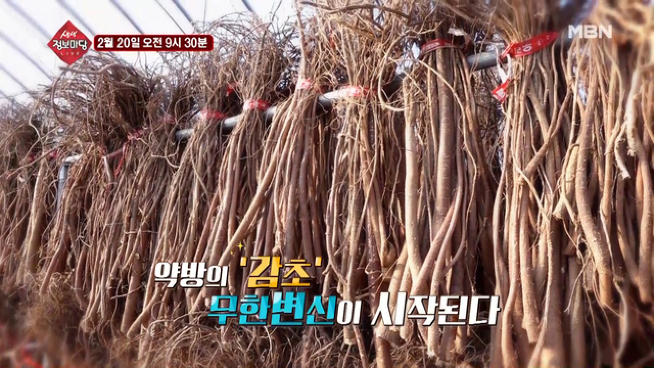 thumb.png?ts=1582209567