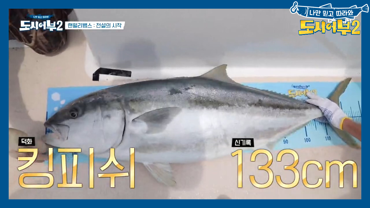 69세 이덕화, 아직 죽지 않았다아아~ 133cm 킹피쉬 잡으며 신기록 ...