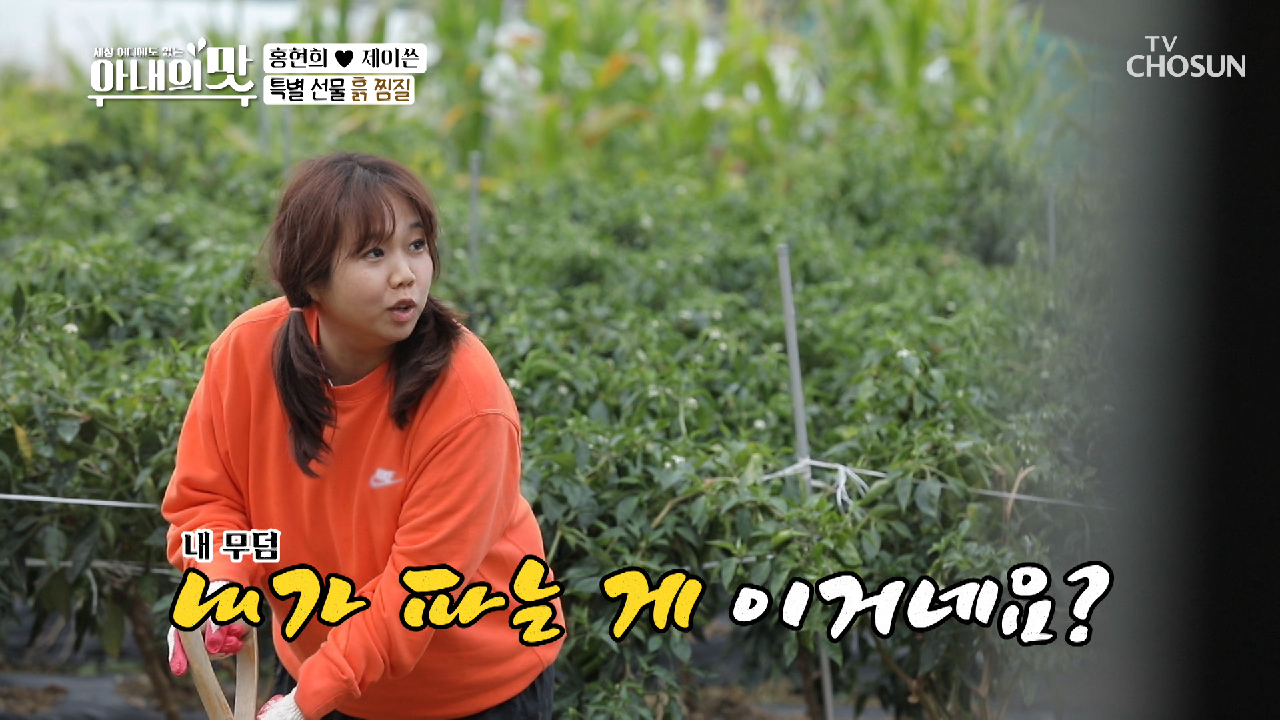 며느리 디톡스 시켜주려는 시아버지 ft. 내 무덤은 내가 판다