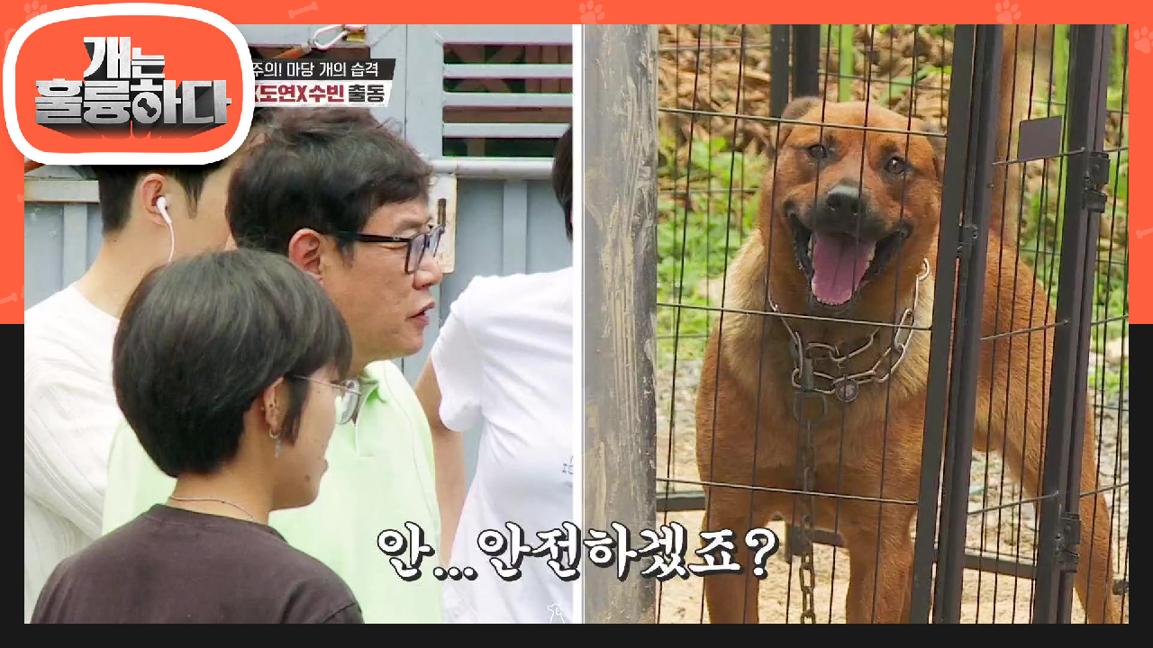 규제자와 사랑이와 친해지길 바래! 보호자들이 사라지니 줄어든 공격성☆ | KBS 210802 방송