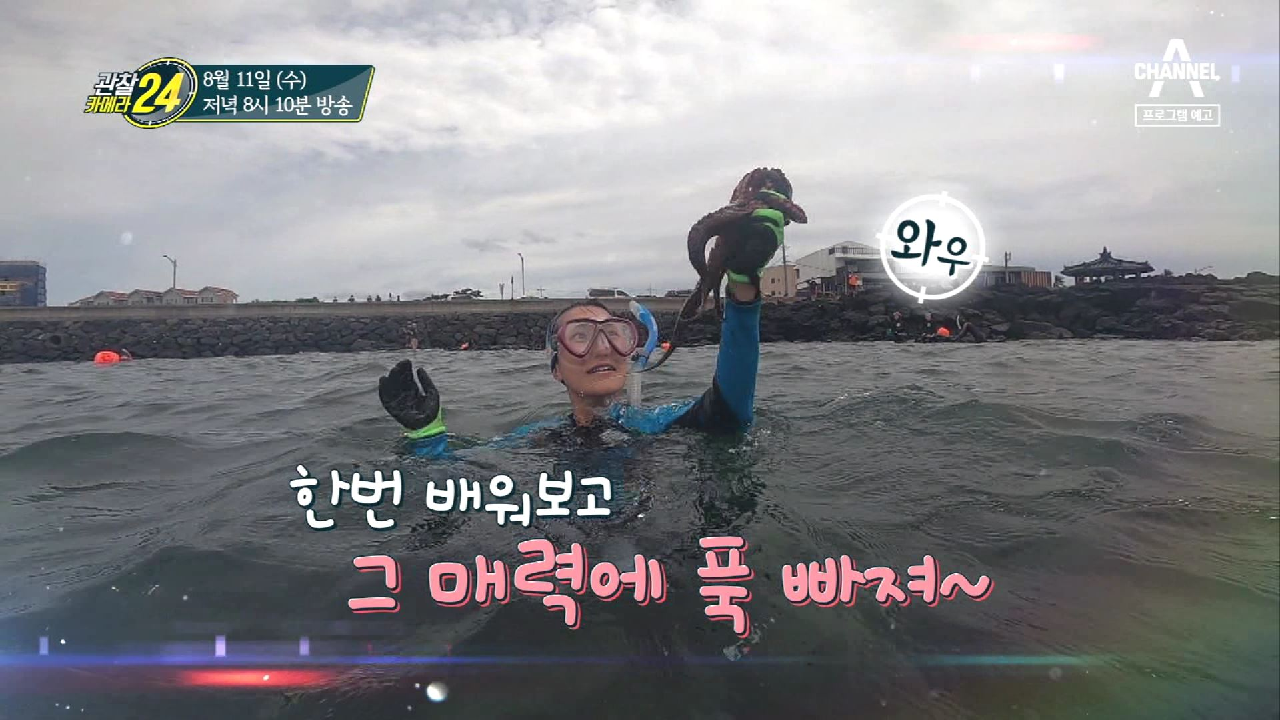 관찰 카메라 24 201회