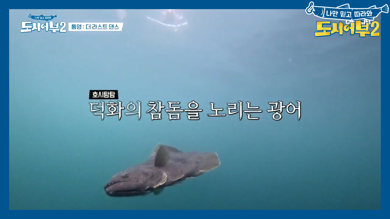 *명장면* 오직 뜰채로 광어를 잡는다?! 광어와의 숨막히는 밀당ㄷㄷ