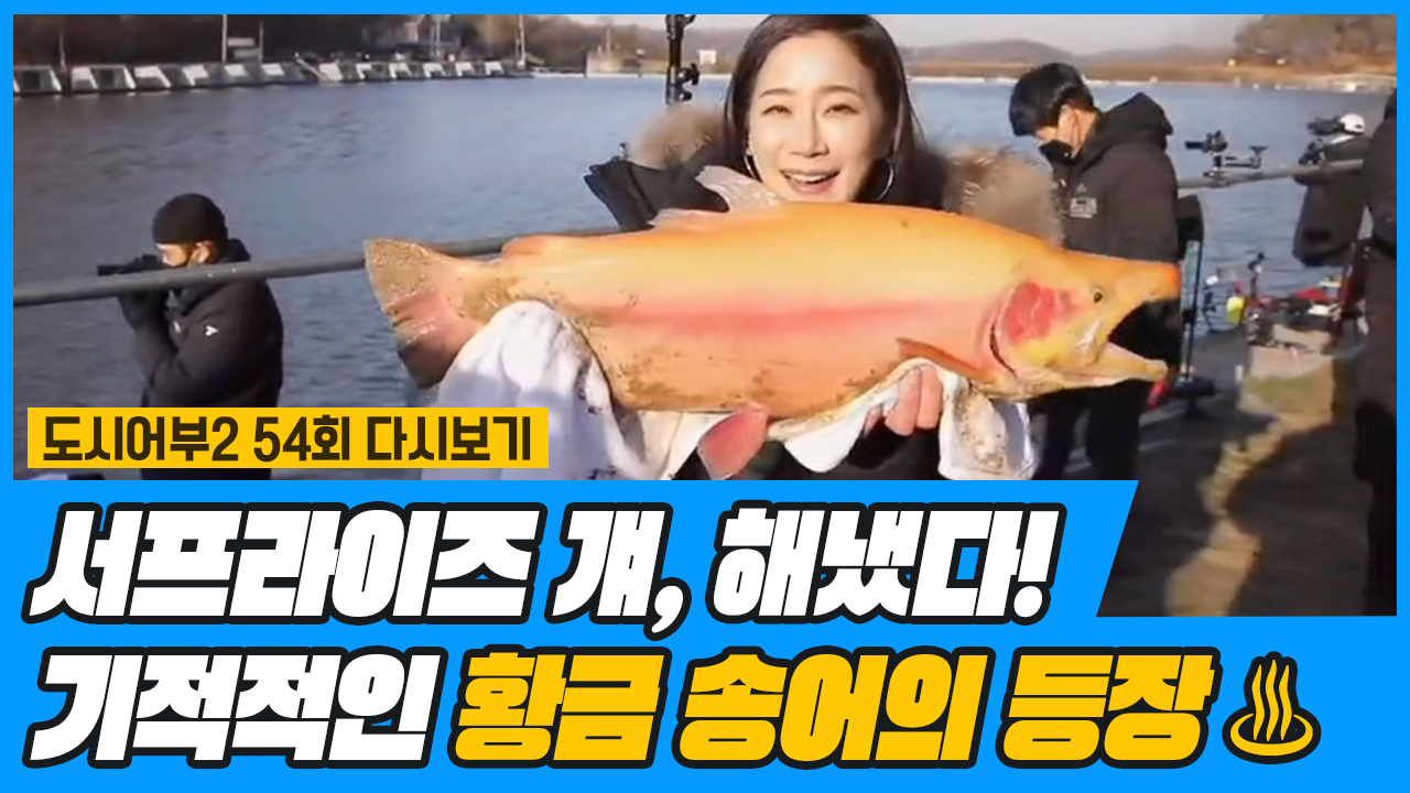 기적적인 순간을 만들어 낸 '서프라이즈 김태희', 황금 송...