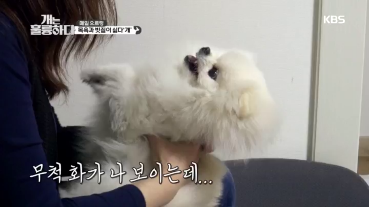 thumb.png?ts=1577714955