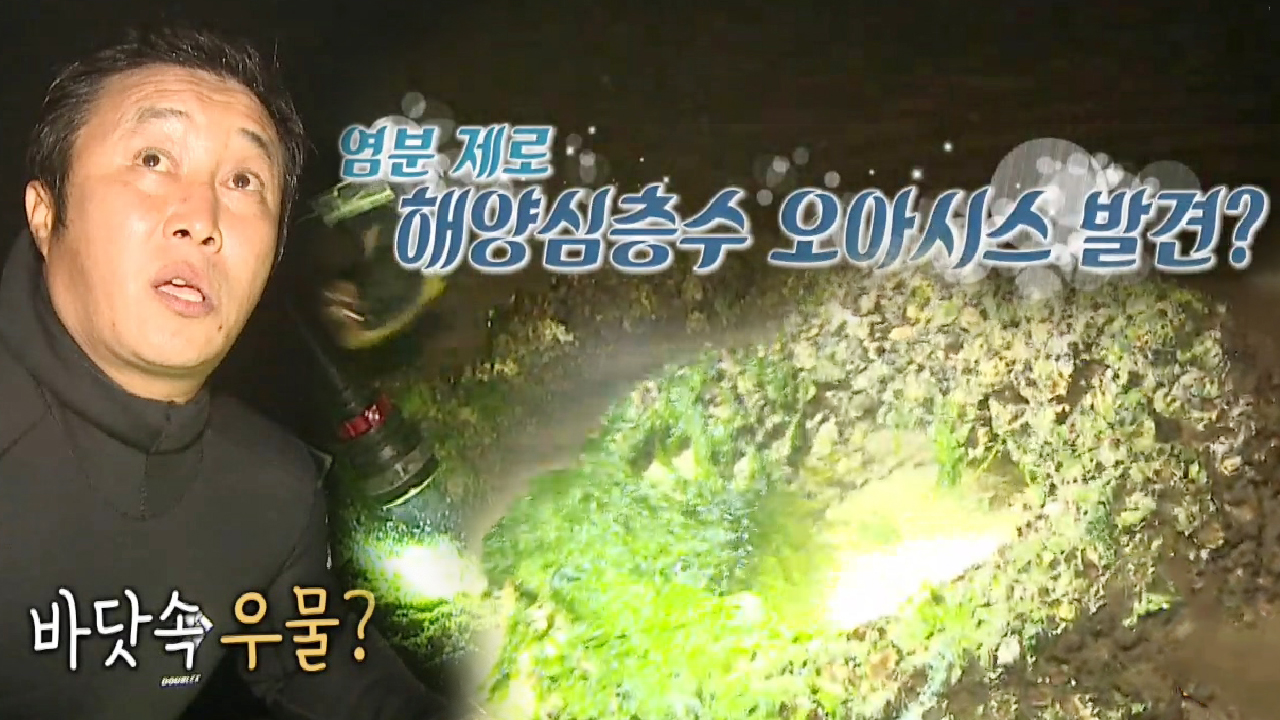 ‘바닷속 오아시스?’ 김병만, 숨길 수 없는 개그 본능!