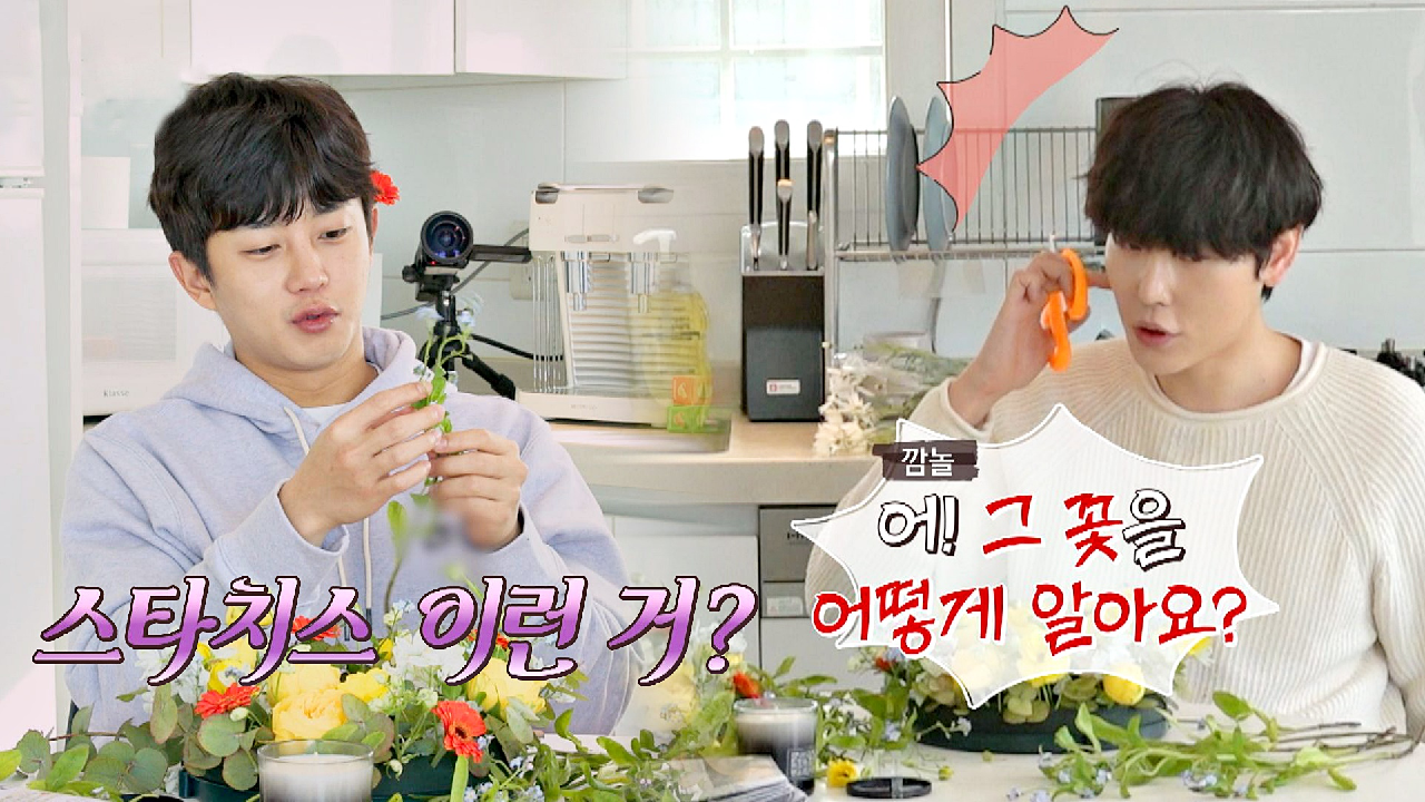 (숙연) '유칼립투스'도 모르는 김민석이 '스타치스'를 아는 슬픈 사연? | JTBC 210426 방송