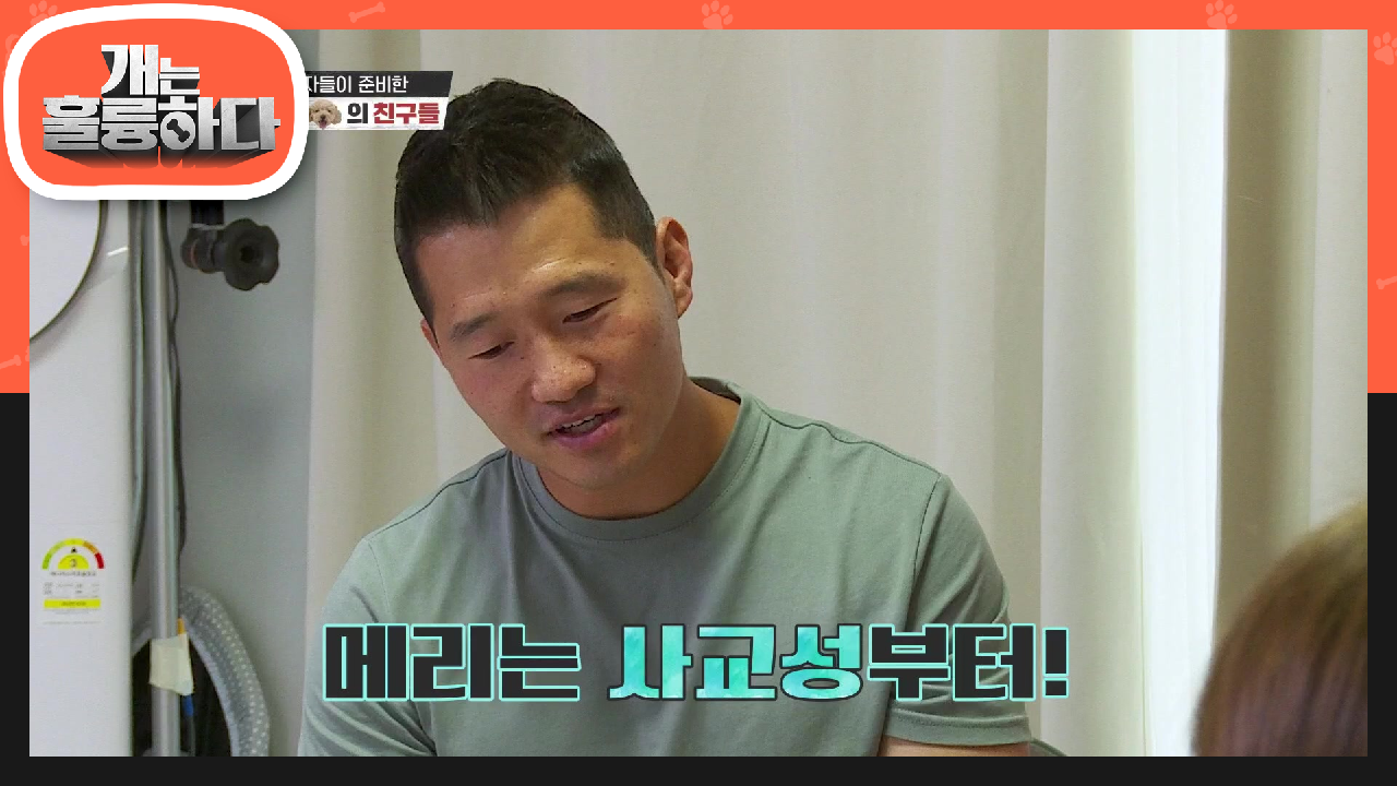 메리에게 필요한 것은 사교성! 개 인형에게도 으르렁대는 이유! | KBS 210719 방송