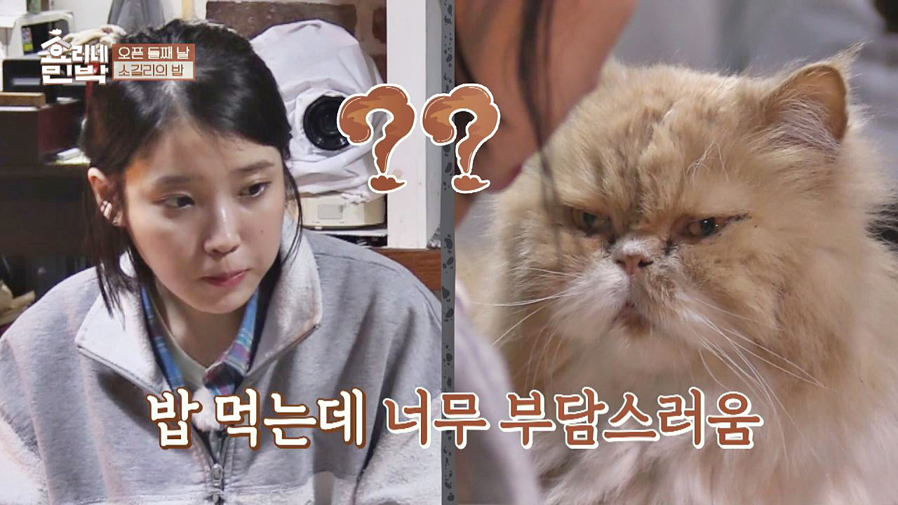 지은 바라기♡ 미미의 뜨거운 시선(!) 내 눈을 바라봐~