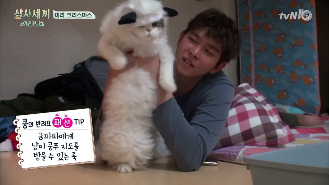 방구석 패션쇼 슈퍼몽&amp;쿵푸팬더