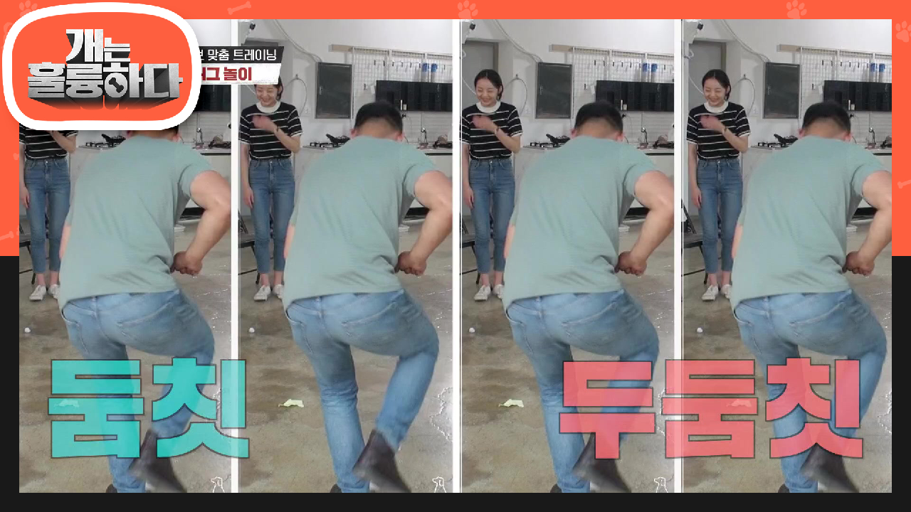 강훈련사 전수해준 춤 훈련(?) 태그 놀이로 쉽게 응용시키는 초보 보호자분! | KBS 210712 방송