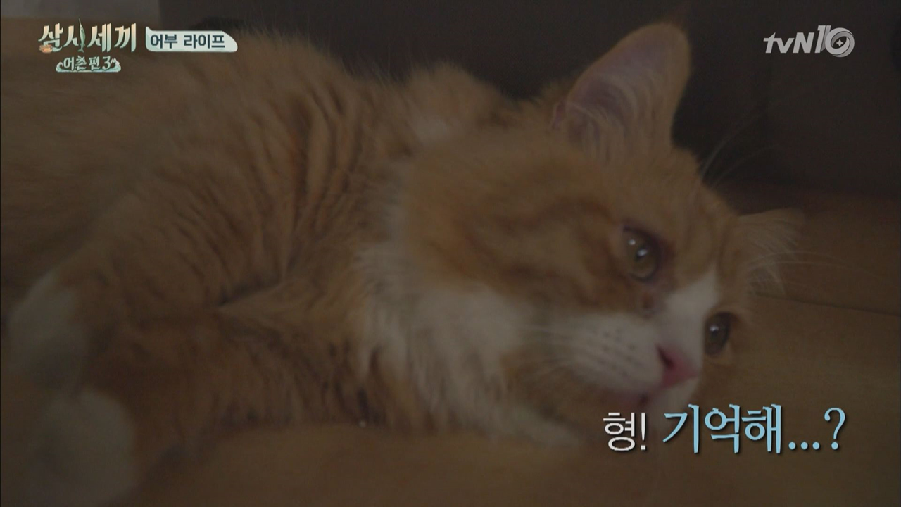 이 브로맨스 어쩌죠? 몽이-♥-＞쿵이-♥-＞서지니형