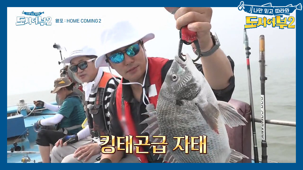 ♨약올리기X100♨ 메인호의 연속 꽝에 응답하는 킹태곤의 감성돔 HIT~...