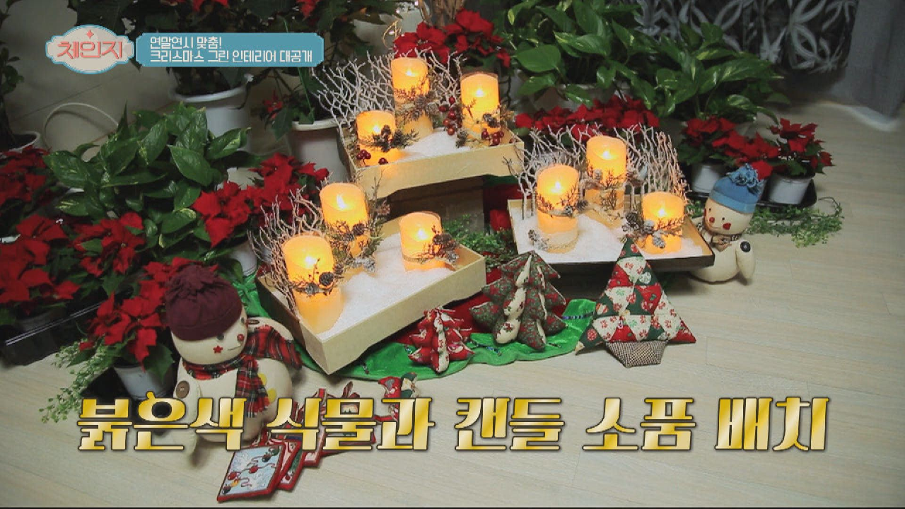품격 있는 &#39;크리스마스&#39;를 만드는 비법 ☞ &#39;그린 인테리어&#39;