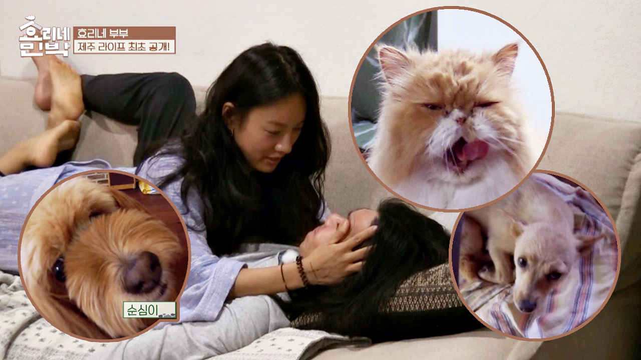 [제주 라이프, 최초 공개] 효리네 가족을 소개합니다☆