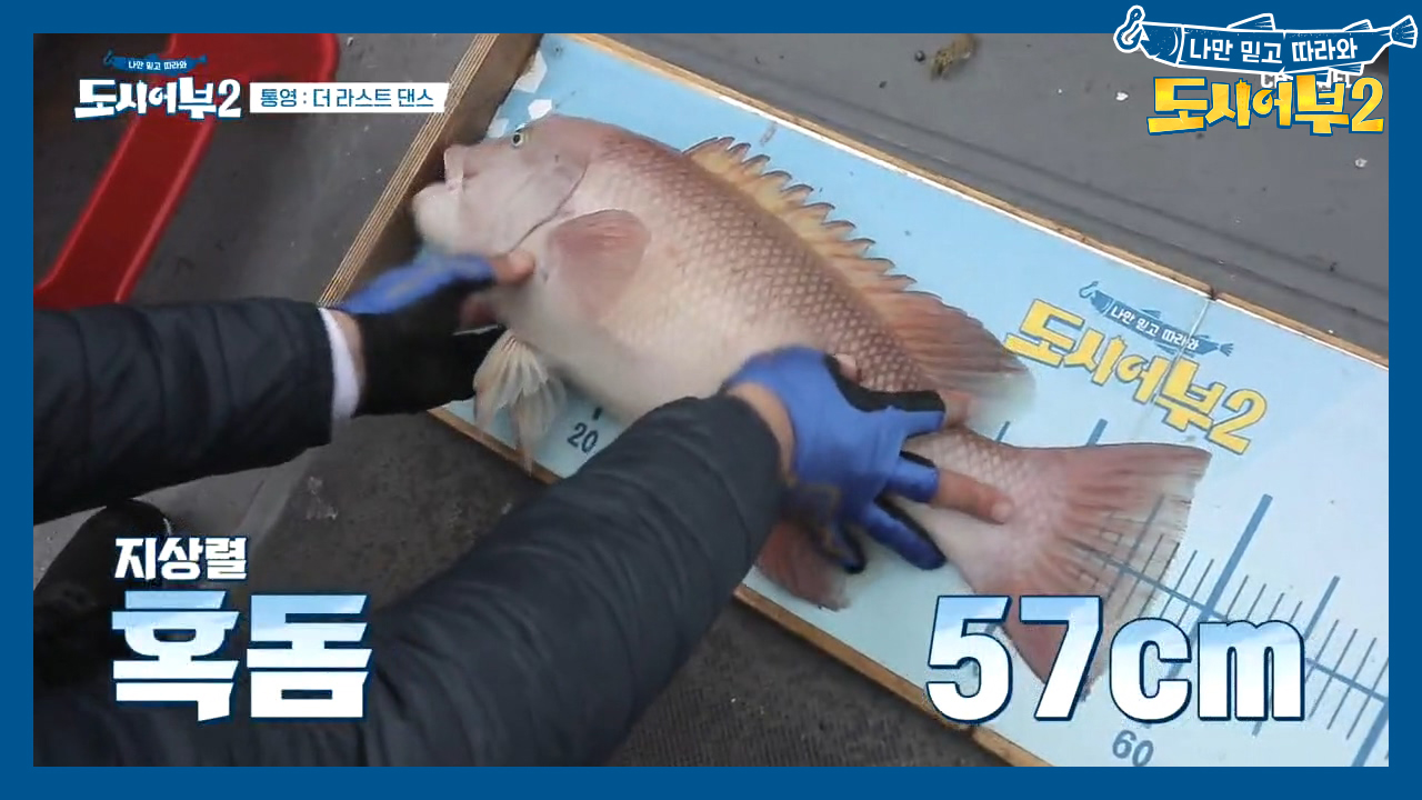 상렬, 5짜 혹돔잡다↗↗ 그런데 반칙에다 대상어종도 아니다?!ㅋㅋ