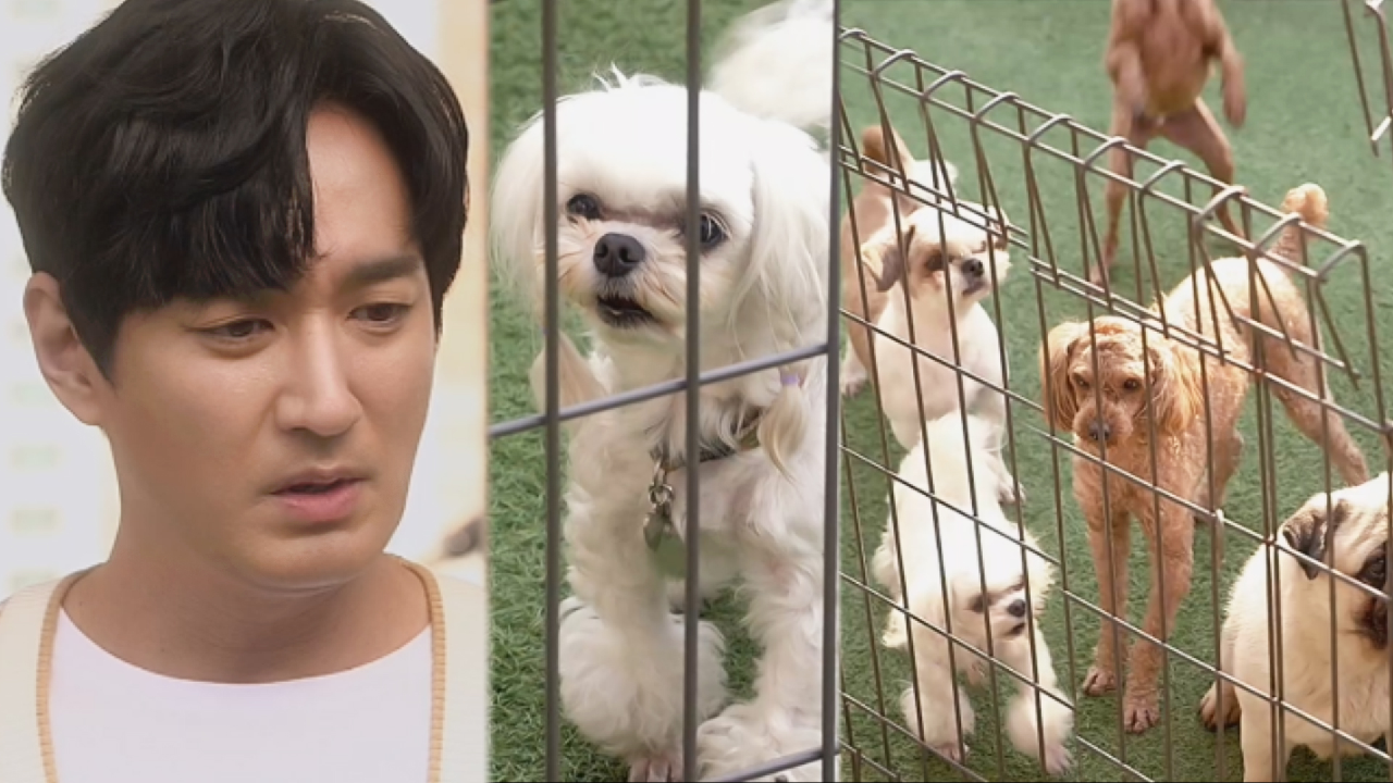 애타는 이재황, 잃어버린 반려견 레옹 찾으러 삼만 리!