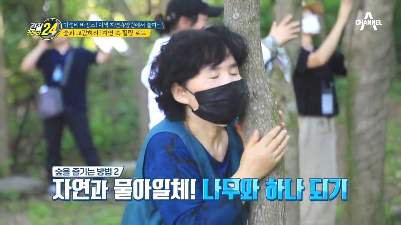 '힐링의 성지' 국내 최대 규모 산림 치유원에서 숲을 즐기는 방법은?