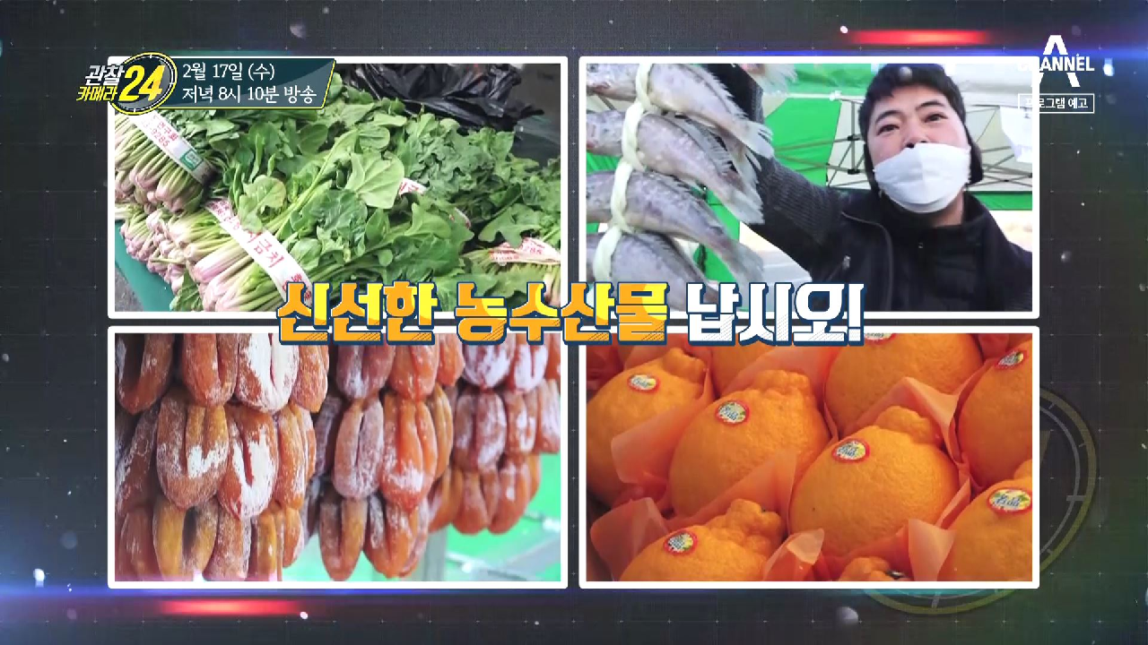 관찰 카메라 24 177회