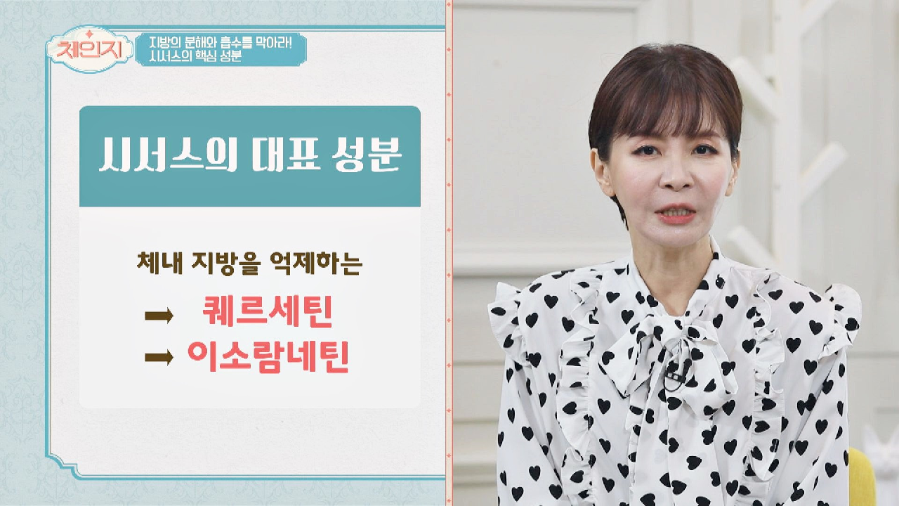 [다이어트] 체중 감량에 도움을 주는 &#39;시서스&#39;의 핵심 성분