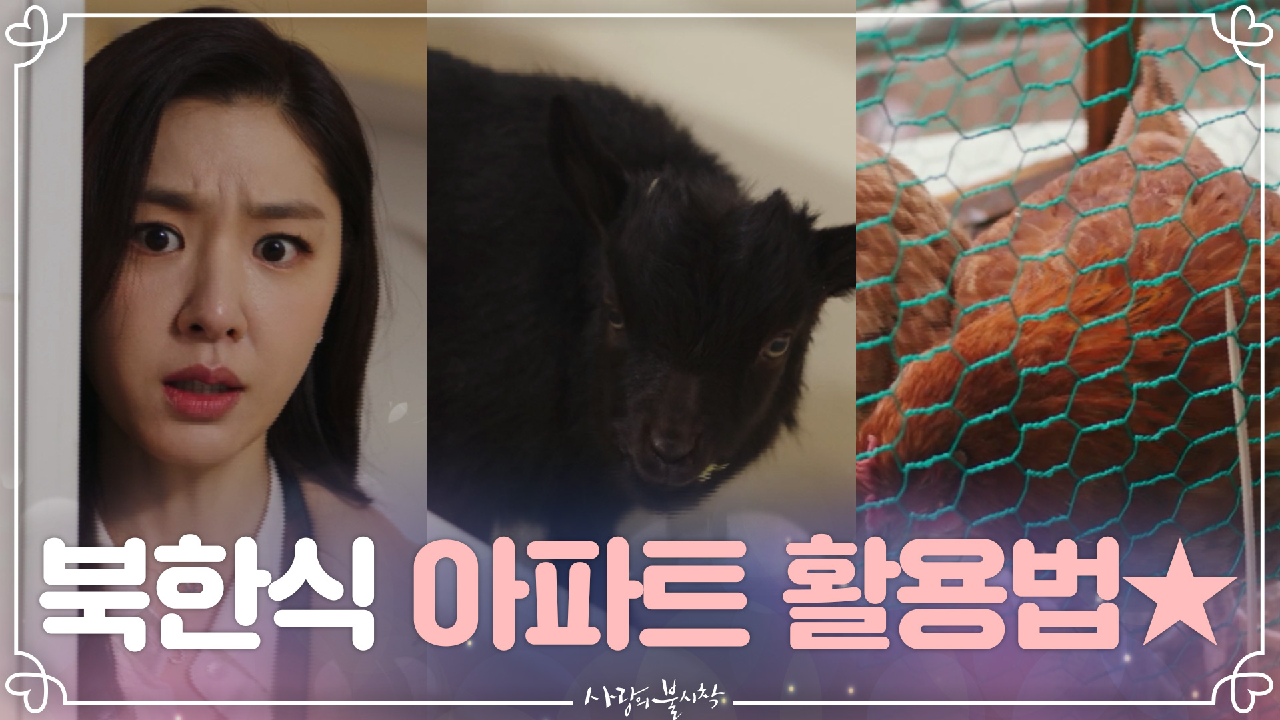 thumb.png?ts=1578753447