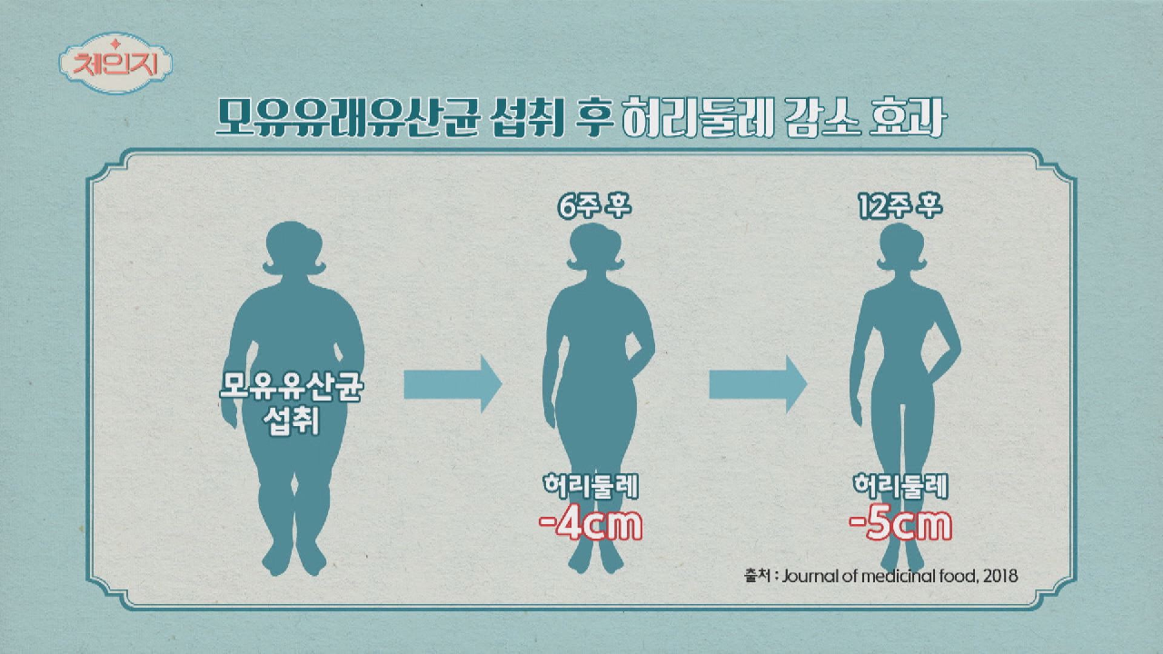 슬림한 허리를 갖고 싶다면 &#39;모유유래유산균&#39;을 섭취하라!