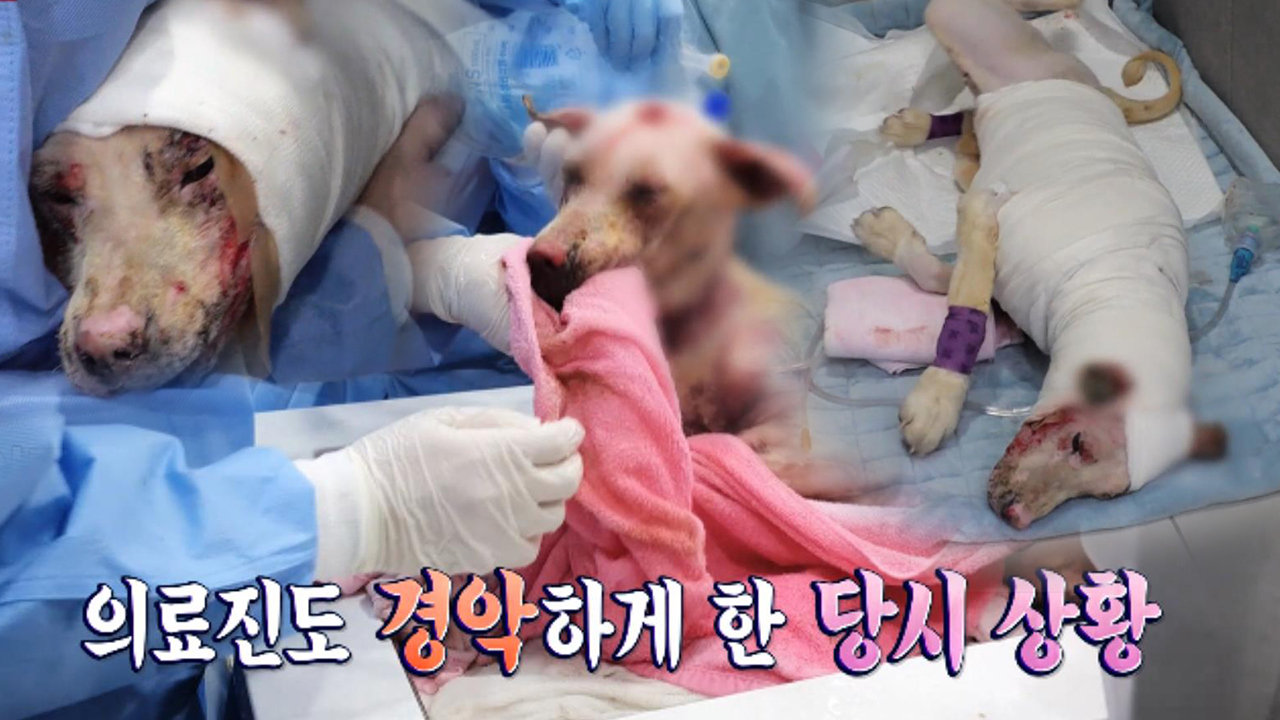 thumb.png?ts=1578794557