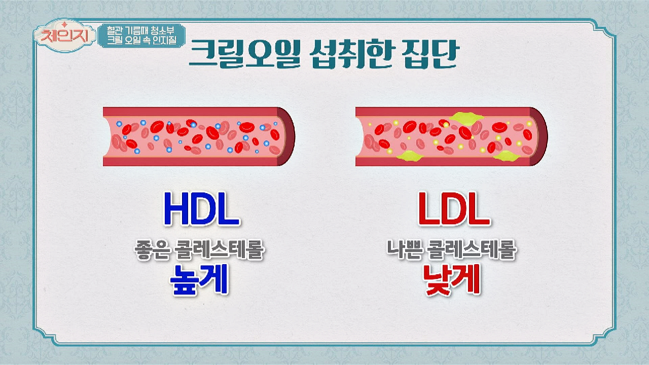 크릴 오일 속 &#39;인지질&#39; ☞ 다이어트·혈관 증상 개선!