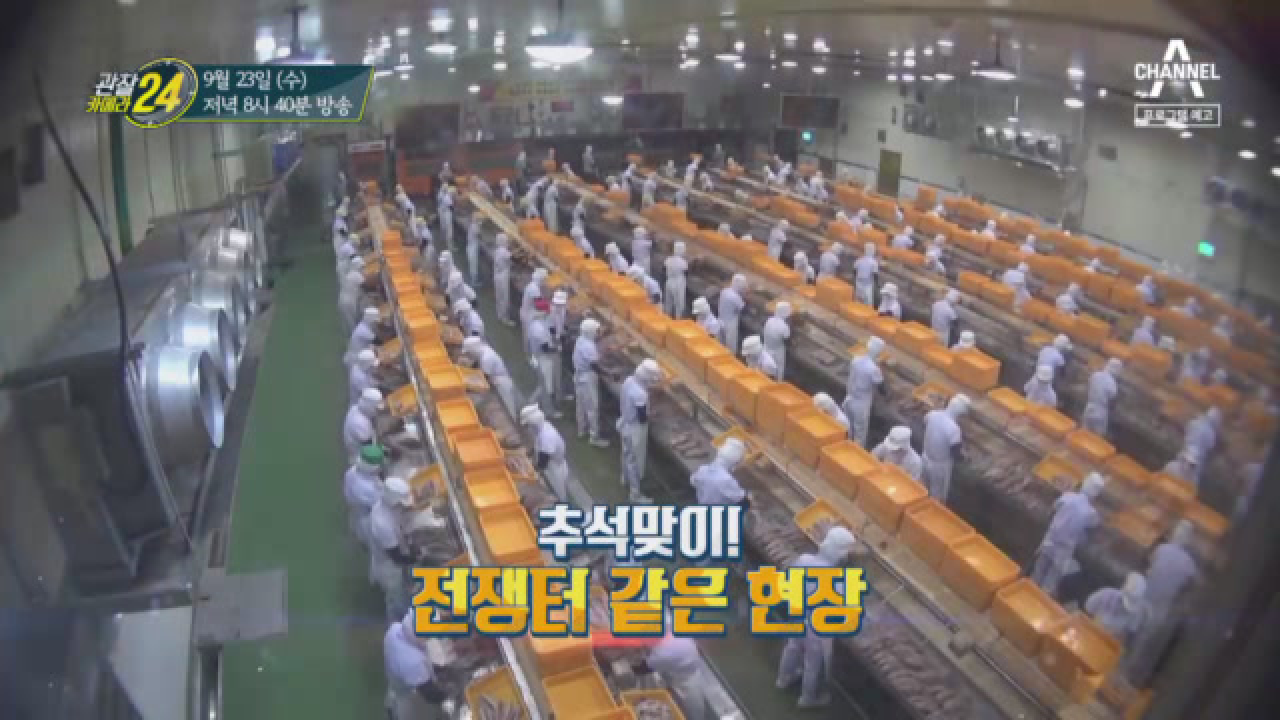 관찰 카메라 24 156회